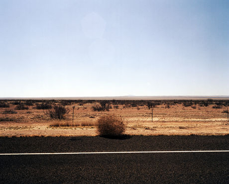 Tumbleweed, Texas, USA