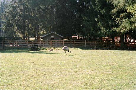 The Hauschen at Altschluderbach