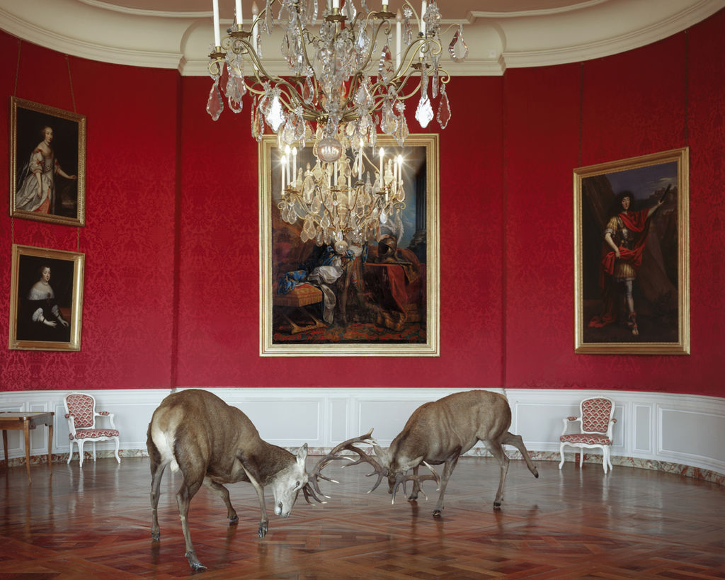 Karen Knorr