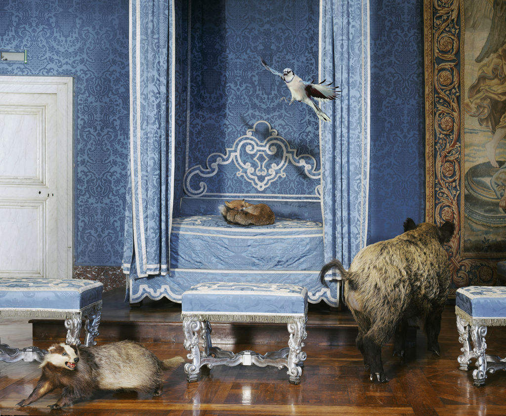 Karen Knorr