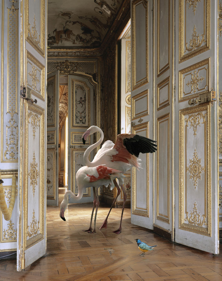 Karen Knorr