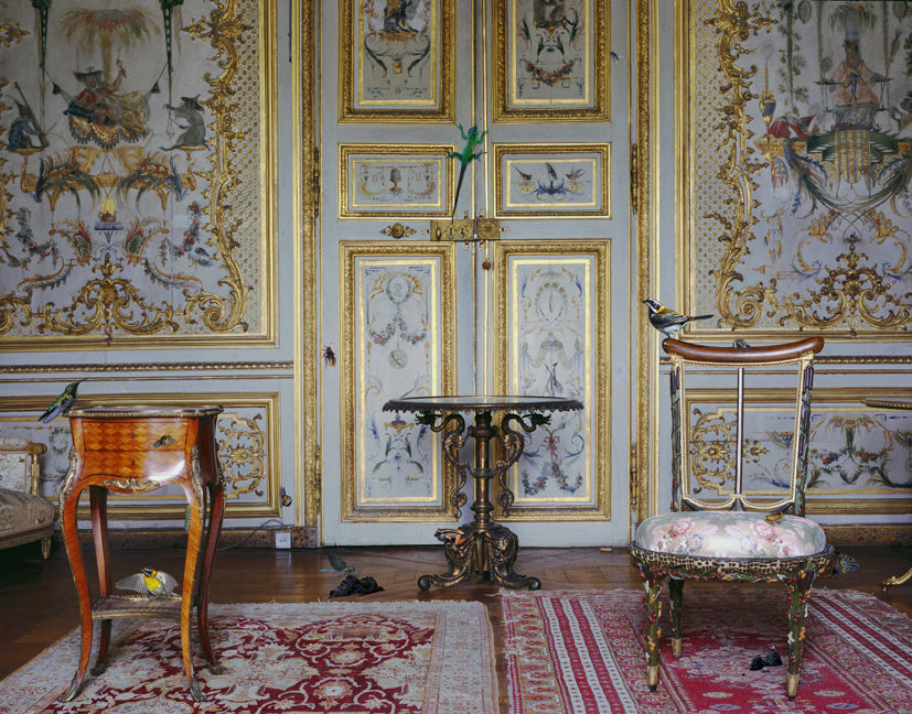 Karen Knorr