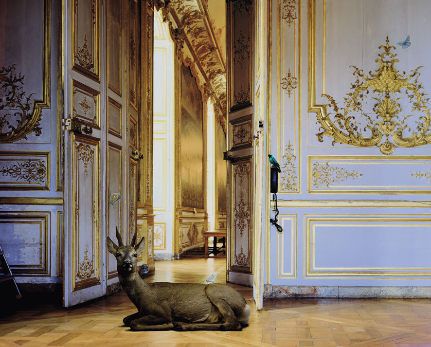 Karen Knorr