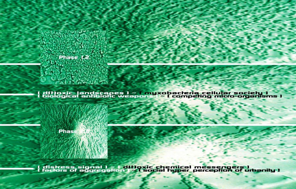 d(t)oxic landscapes