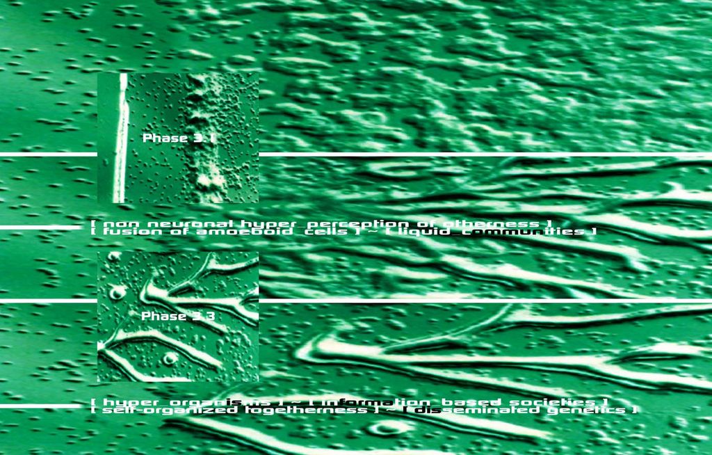 d(t)oxic landscapes