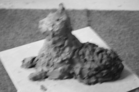 The Incommensurable Cat