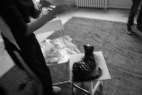 The Incommensurable Cat