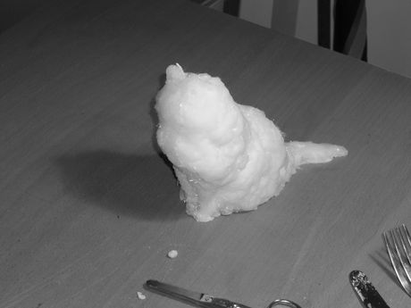 The Incommensurable Cat