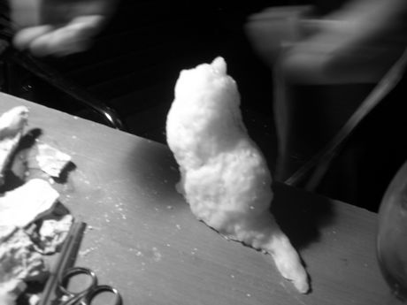 The Incommensurable Cat