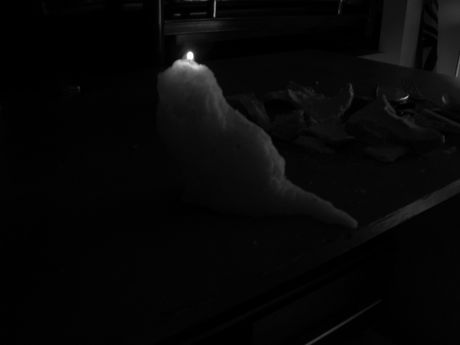 The Incommensurable Cat