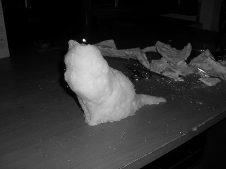 The Incommensurable Cat