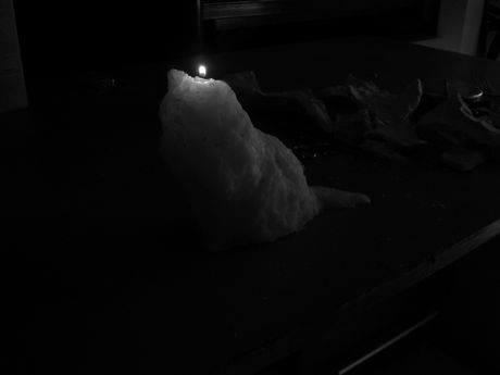 The Incommensurable Cat
