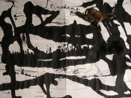 The Incommensurable Cat