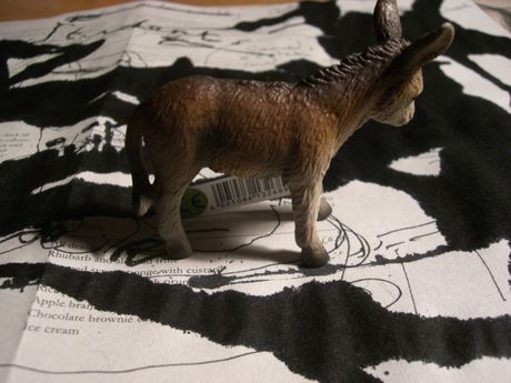 The Incommensurable Cat