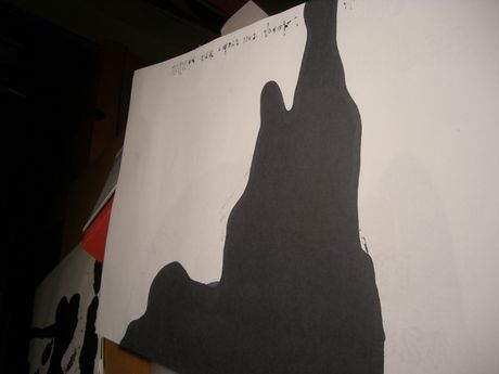 The Incommensurable Cat