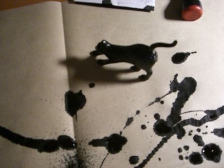 The Incommensurable Cat