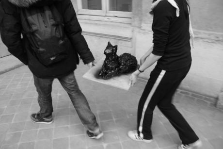 The Incommensurable Cat