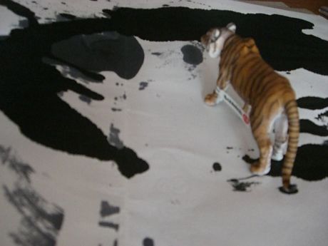 The Incommensurable Cat