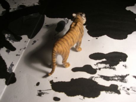 The Incommensurable Cat