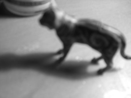 The Incommensurable Cat