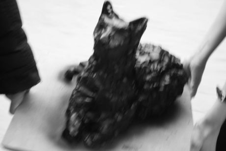 The Incommensurable Cat