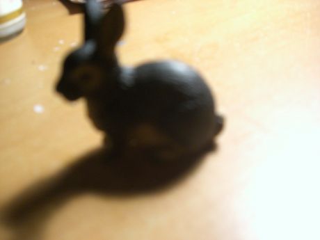 The Incommensurable Cat