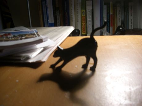 The Incommensurable Cat