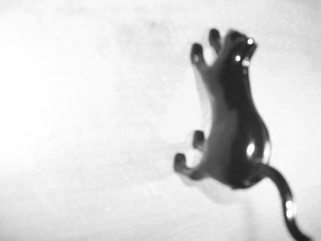 The Incommensurable Cat