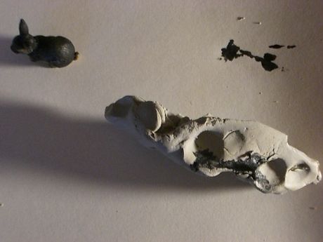 The Incommensurable Cat