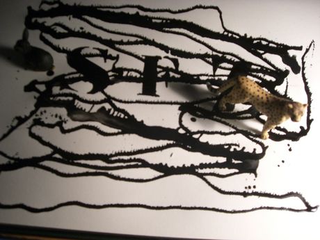 The Incommensurable Cat