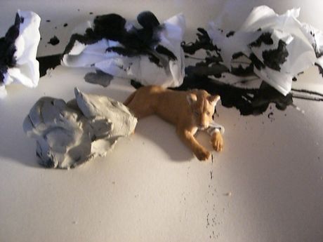 The Incommensurable Cat