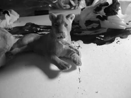 The Incommensurable Cat