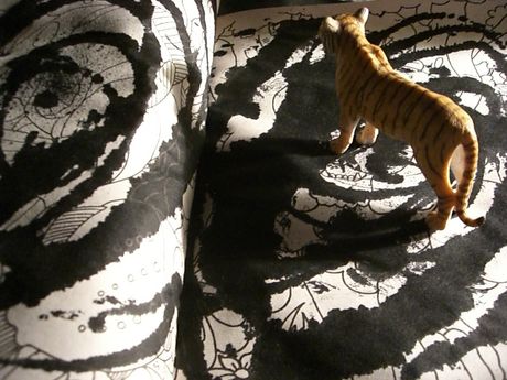 The Incommensurable Cat