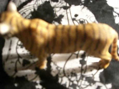 The Incommensurable Cat