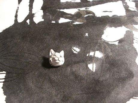The Incommensurable Cat