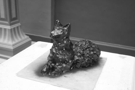 The Incommensurable Cat