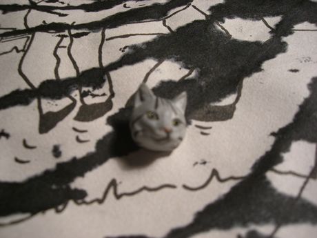 The Incommensurable Cat