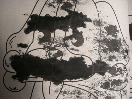 The Incommensurable Cat