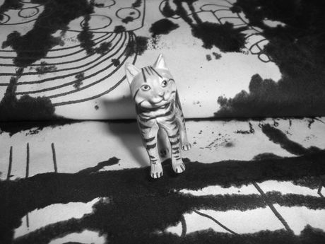 The Incommensurable Cat
