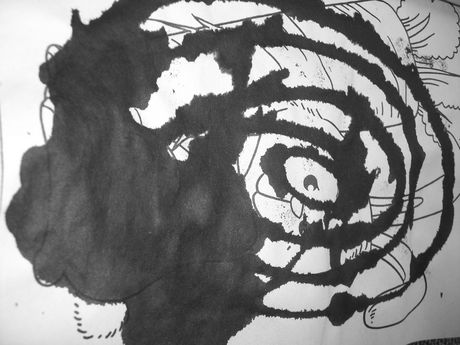 The Incommensurable Cat