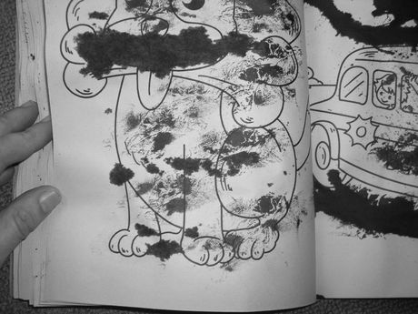The Incommensurable Cat