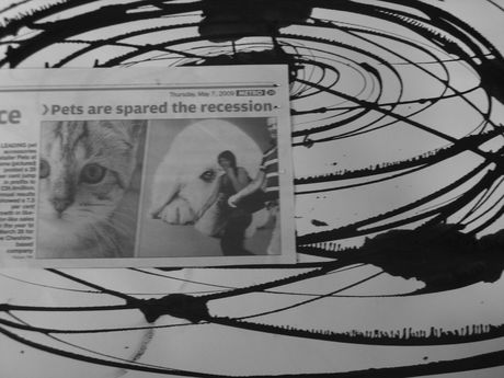 The Incommensurable Cat