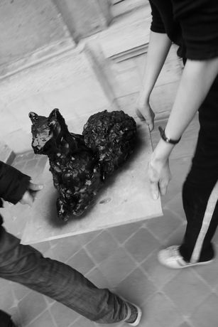 The Incommensurable Cat