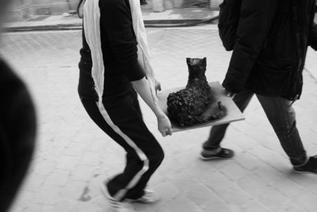 The Incommensurable Cat