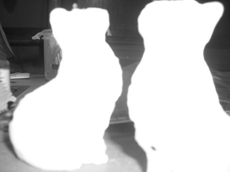 The Incommensurable Cat