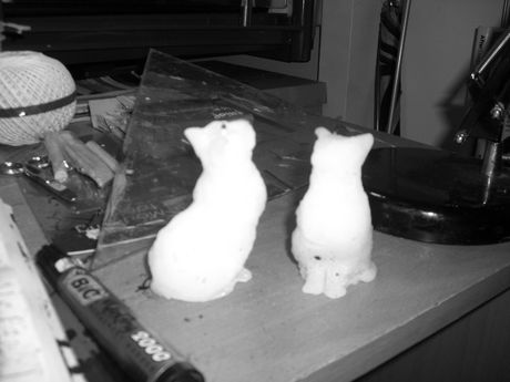 The Incommensurable Cat