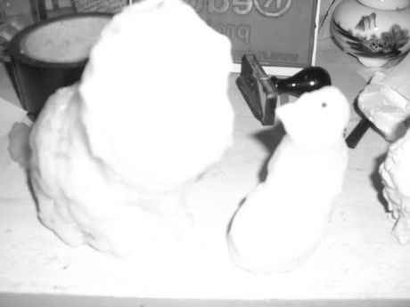 The Incommensurable Cat