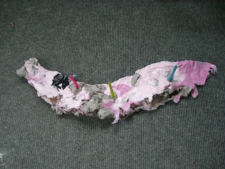 The Incommensurable Cat