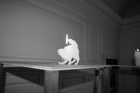 The Incommensurable Cat