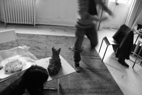 The Incommensurable Cat